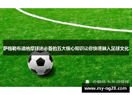 萨格勒布迪纳摩球迷必备的五大核心知识让你快速融入足球文化