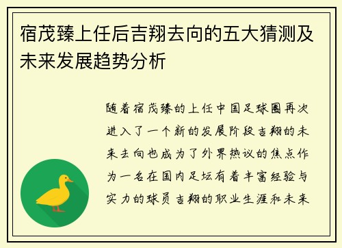 宿茂臻上任后吉翔去向的五大猜测及未来发展趋势分析
