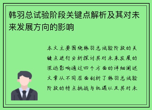 韩羽总试验阶段关键点解析及其对未来发展方向的影响