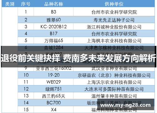 退役前关键抉择 费南多未来发展方向解析