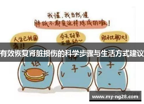 有效恢复肾脏损伤的科学步骤与生活方式建议