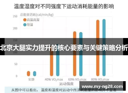 北京大腿实力提升的核心要素与关键策略分析