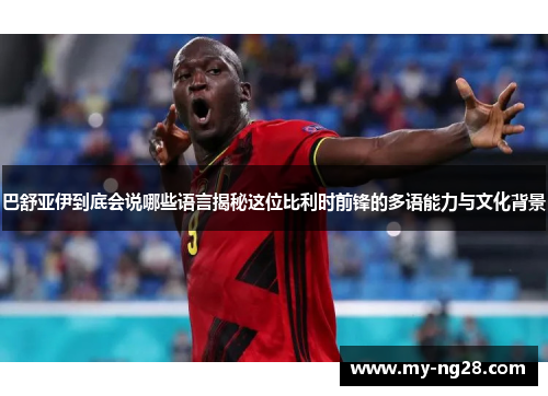 巴舒亚伊到底会说哪些语言揭秘这位比利时前锋的多语能力与文化背景 巴舒亚伊到底会说哪些语言揭秘这位比利时前锋的多语能力与文化背景