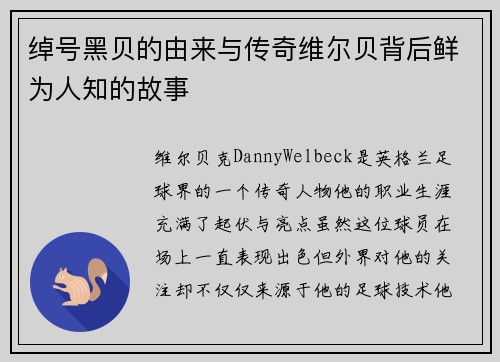 绰号黑贝的由来与传奇维尔贝背后鲜为人知的故事